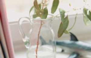 Několik tipů pro podnikatelky, které chtějí posílit svou imunitu v době karantény